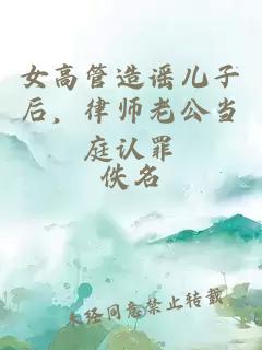女高管造谣儿子后，律师老公当庭认罪
