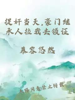 捉奸当天,豪门继承人拉我去领证