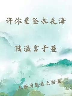 许你星坠永夜海