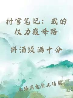 村官笔记：我的权力巅峰路
