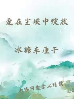 爱在尘埃中绽放